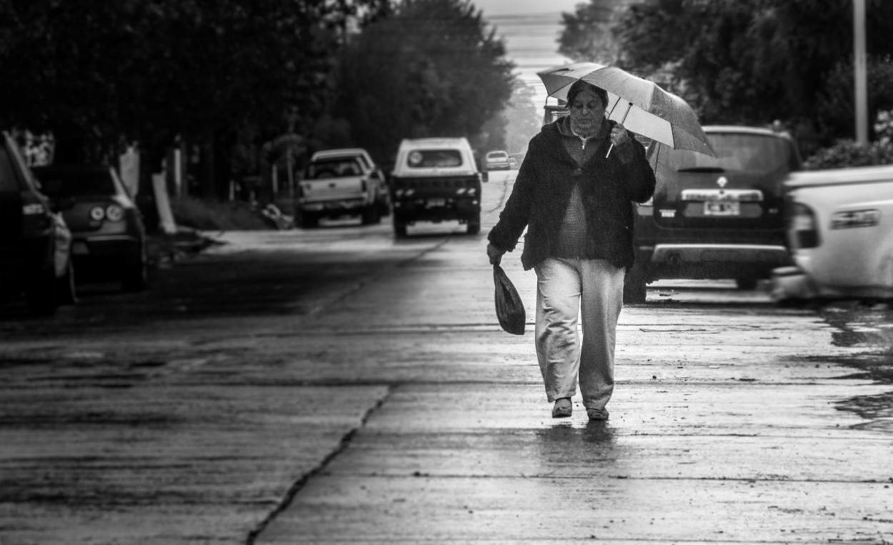 "Compras bajo la lluvia" de Fernando Valdez Vazquez