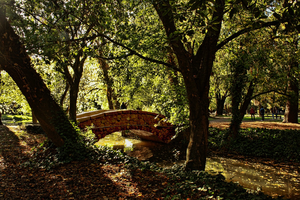 "Parque de Azul" de Stella Maris Kippke