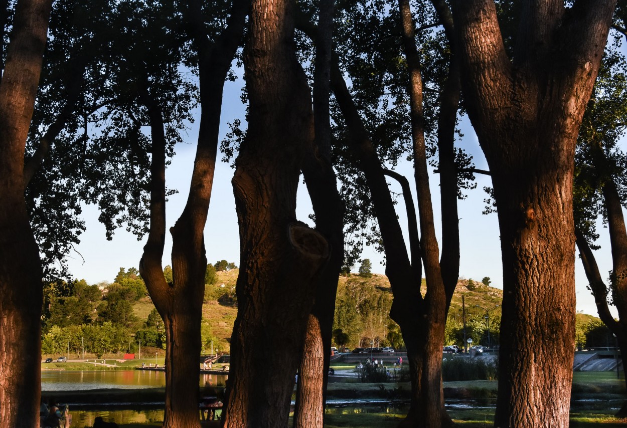 "` ATARDECER EN EL LAGO`" de Graciela Larrama