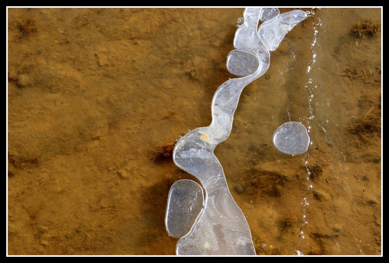 "otoo con hielo" de Marcos Pedro Escudero