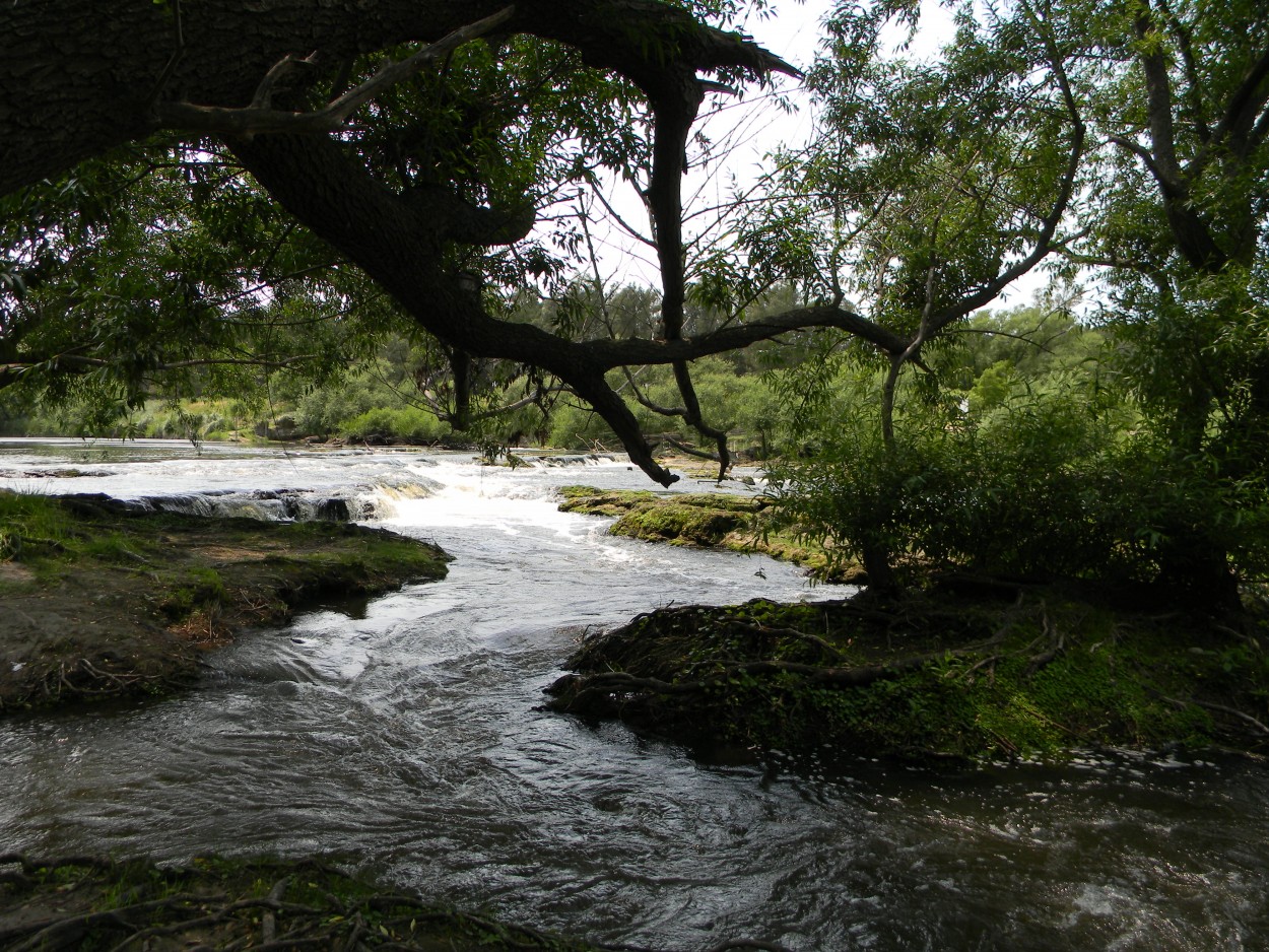 "Paraje las Cascadas" de Alberto Zaccagnino