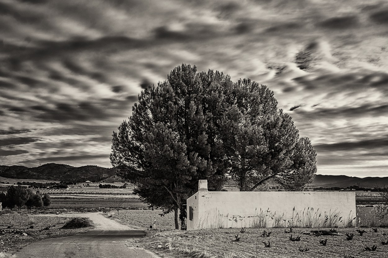 "Muro blanco" de Francisco Jos Cerd Ortiz