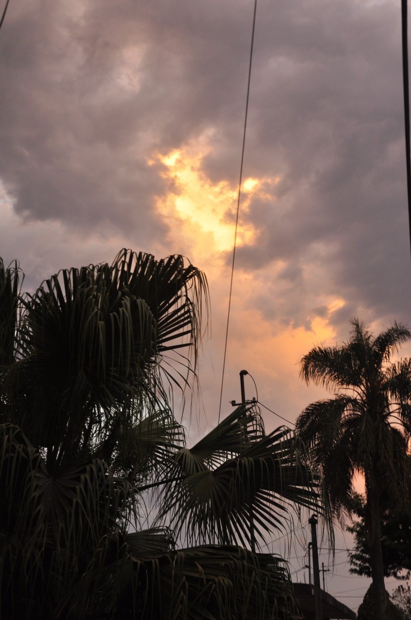 "Tormenta en puerta" de Flix Edmundo Reyes