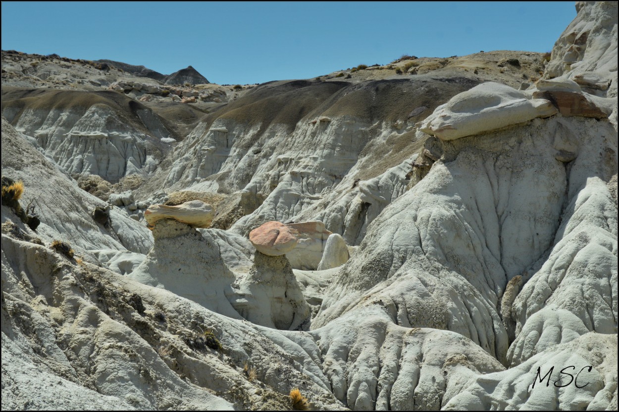 "Patagonia Magica" de Marita Santa Cruz