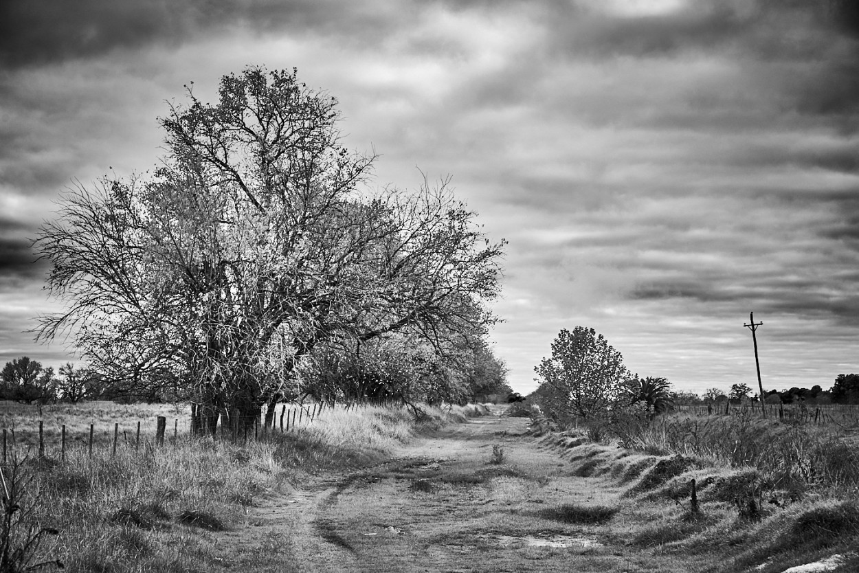 "Caminos" de Fernando Valdez Vazquez