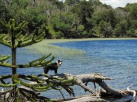 De paseo en el Lago.