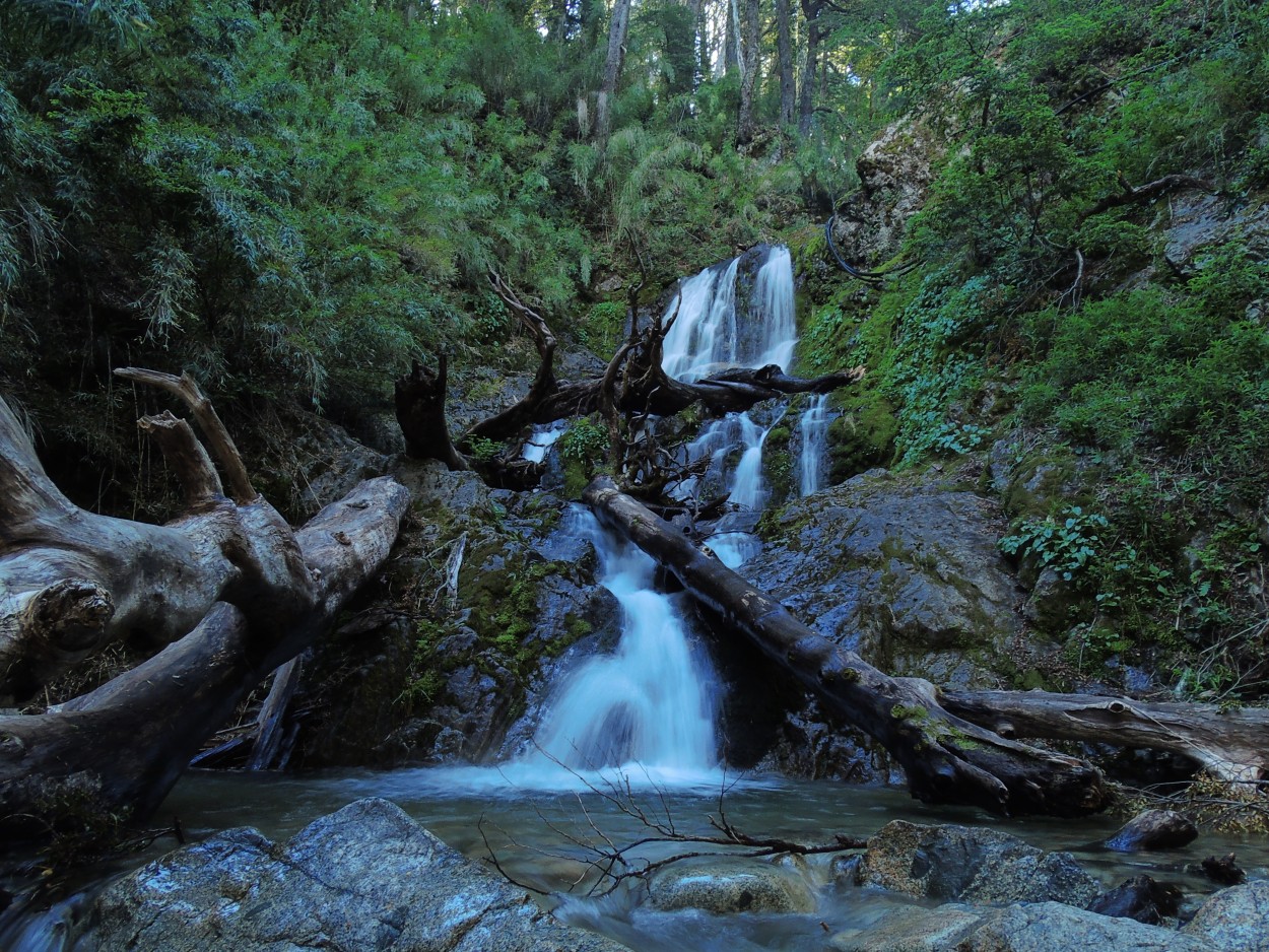 "Cascada." de Lola Preidun