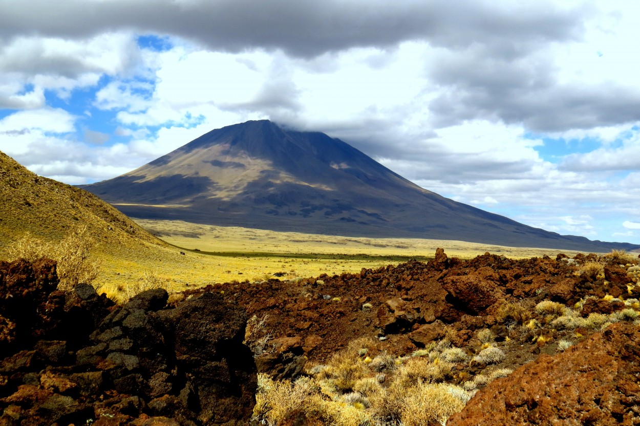 "`En el sur de Mendoza`" de Iris Elizabeth Scotto