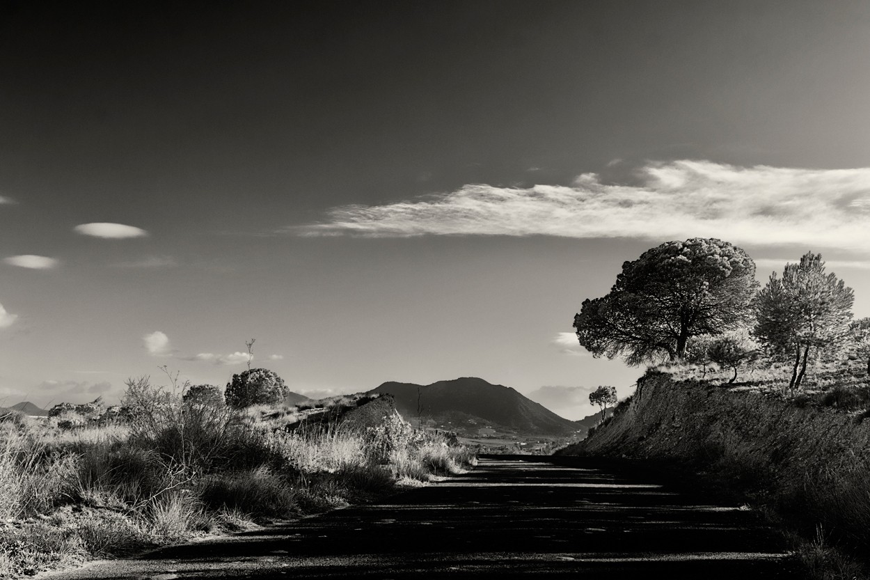 "Carretera con sombras" de Francisco Jos Cerd Ortiz