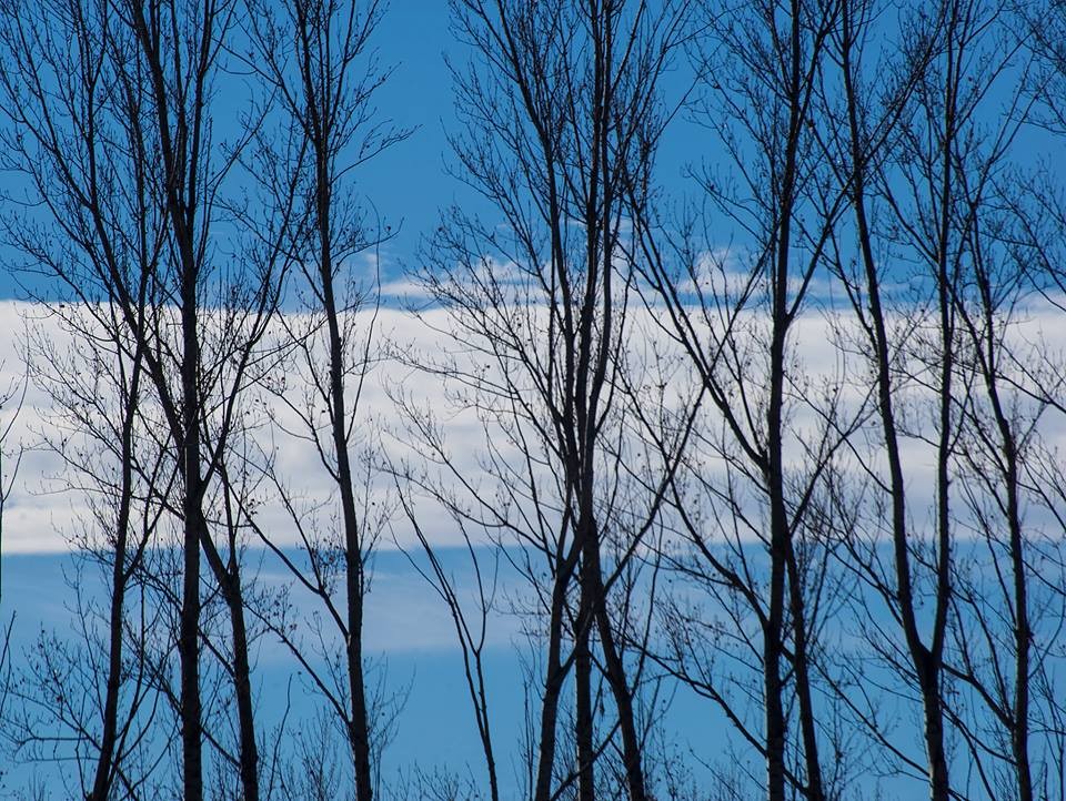 "Foto de hoy luego del partido de Argentina" de Williams Daniel Nuez