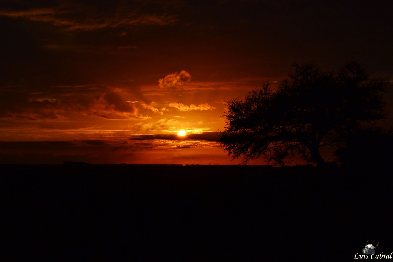 "ocaso" de Luis Cabral