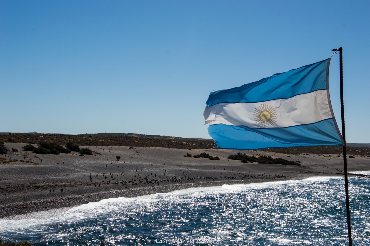 "La mas linda al viento" de Laura Mariela Garcia