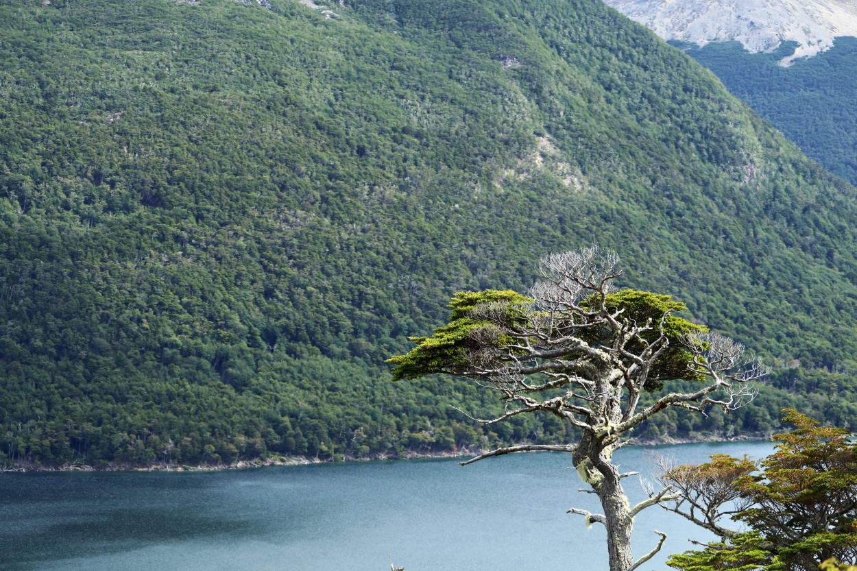 "Con vista al lago II" de Natalia Harosteguy