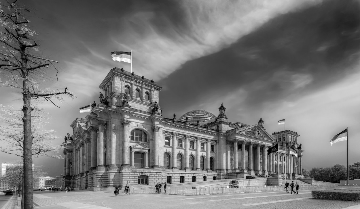 "REICHSTAG" de Carlos Costamagna