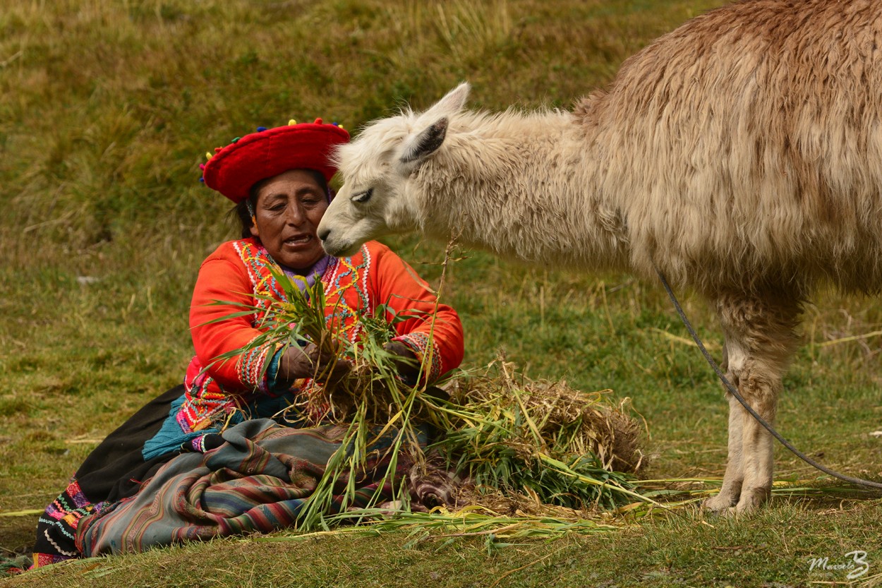 "Almorzando" de Marcelo Barberi