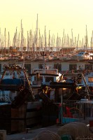 Port pescador de Vilanova
