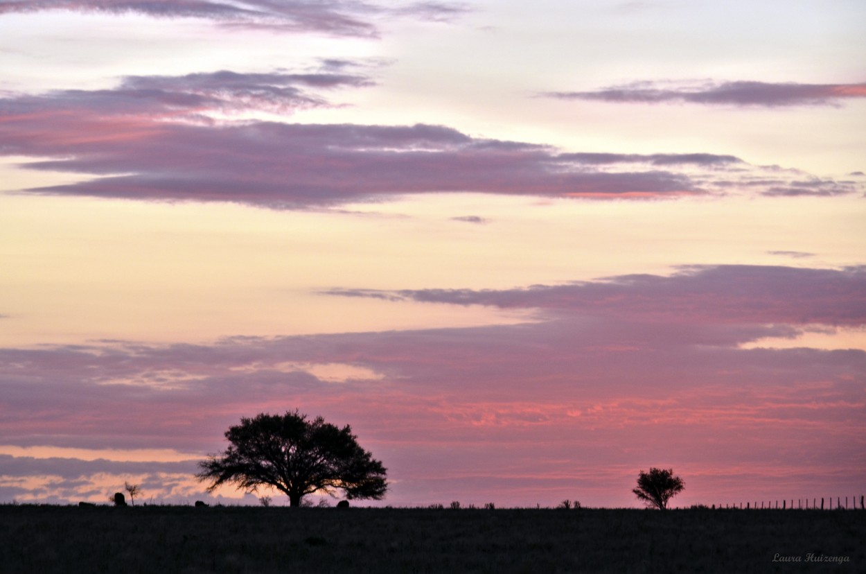 "Atardecer rosceo" de Laura Noem Huizenga