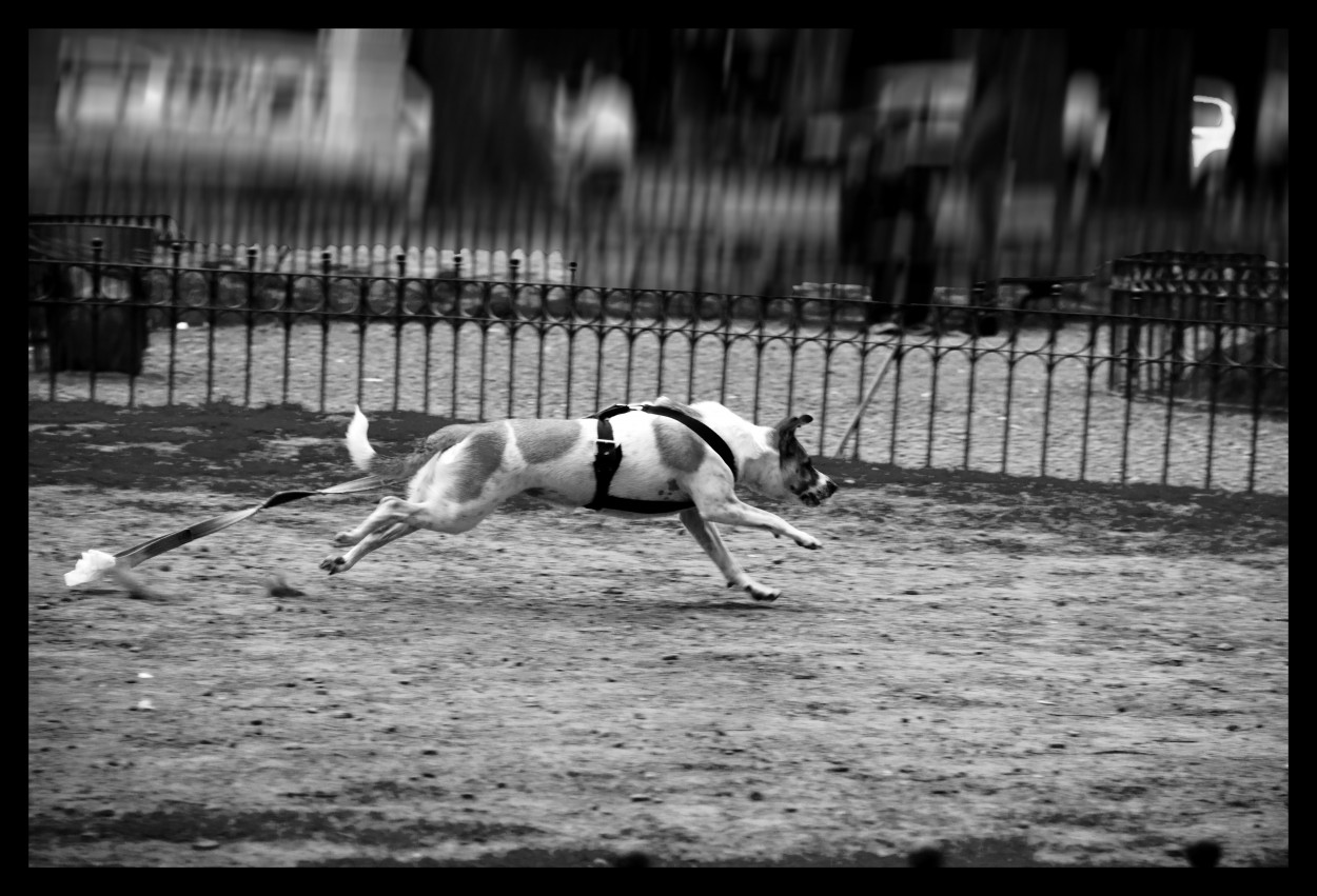 "GASTANDOOO ENERGIASSS!!!" de Maria Eugenia Cailly (euge)