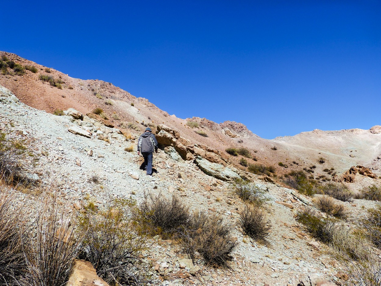 "` TREKKING II... en Barreal, San Juan." de Graciela Larrama