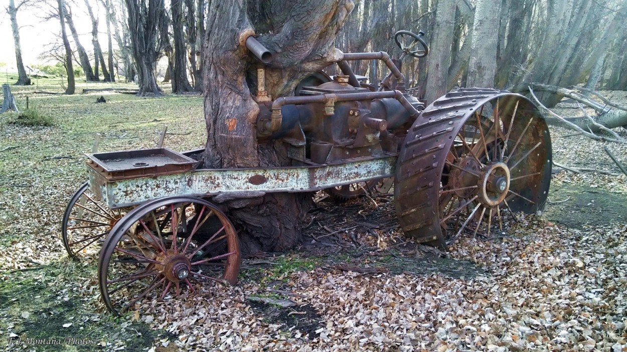 "rbol dentro de un tractor." de Francisco Jos Montaa