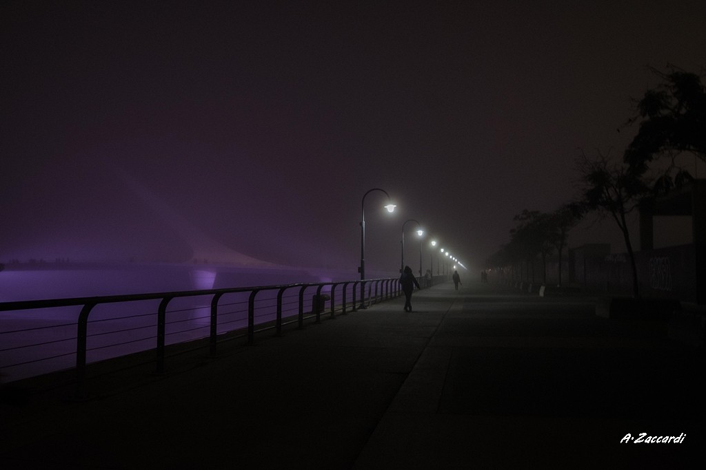 "Camino y Niebla" de Adriana Zaccardi