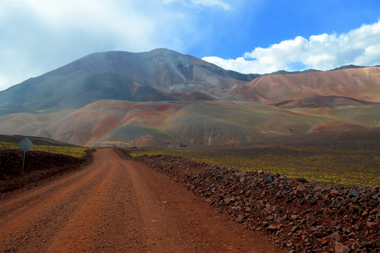 "Camino de colores" de Ana Rosalia Scott