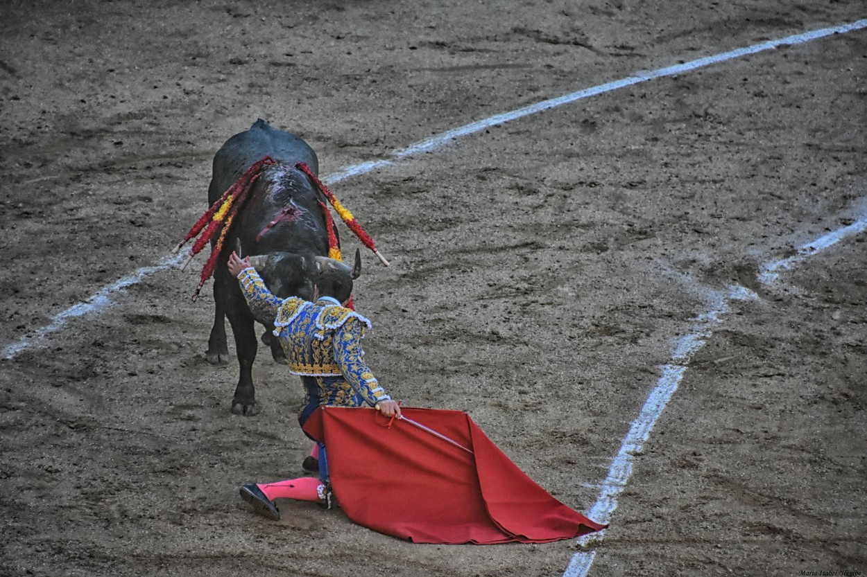 "Una caricia antes..." de Maria Isabel Hempe