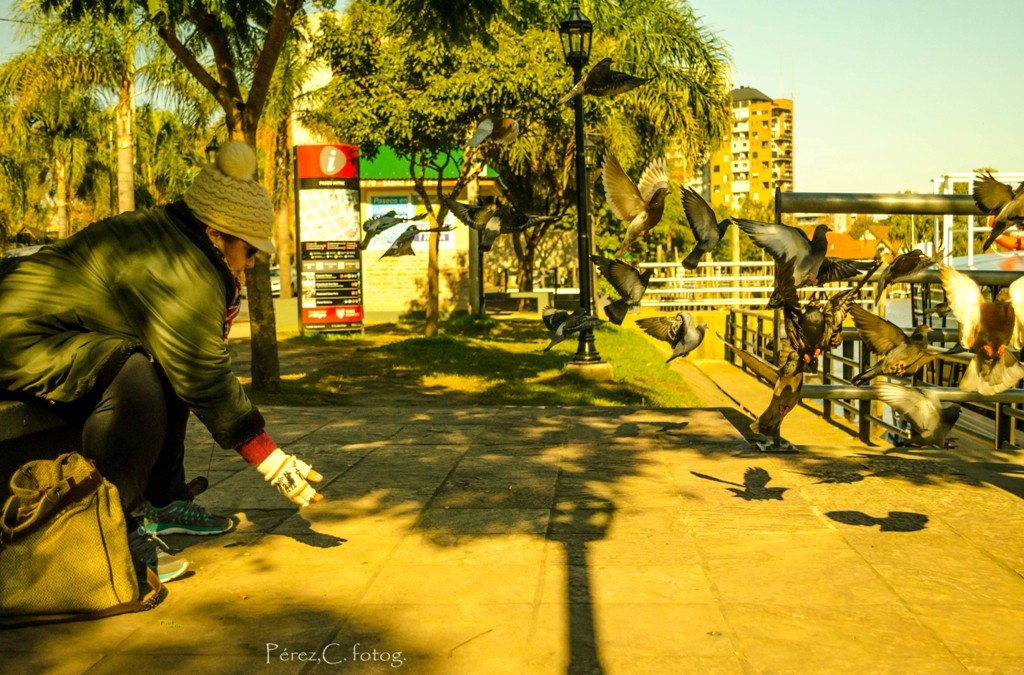 "Compartiendo el pan" de Claudia Perez