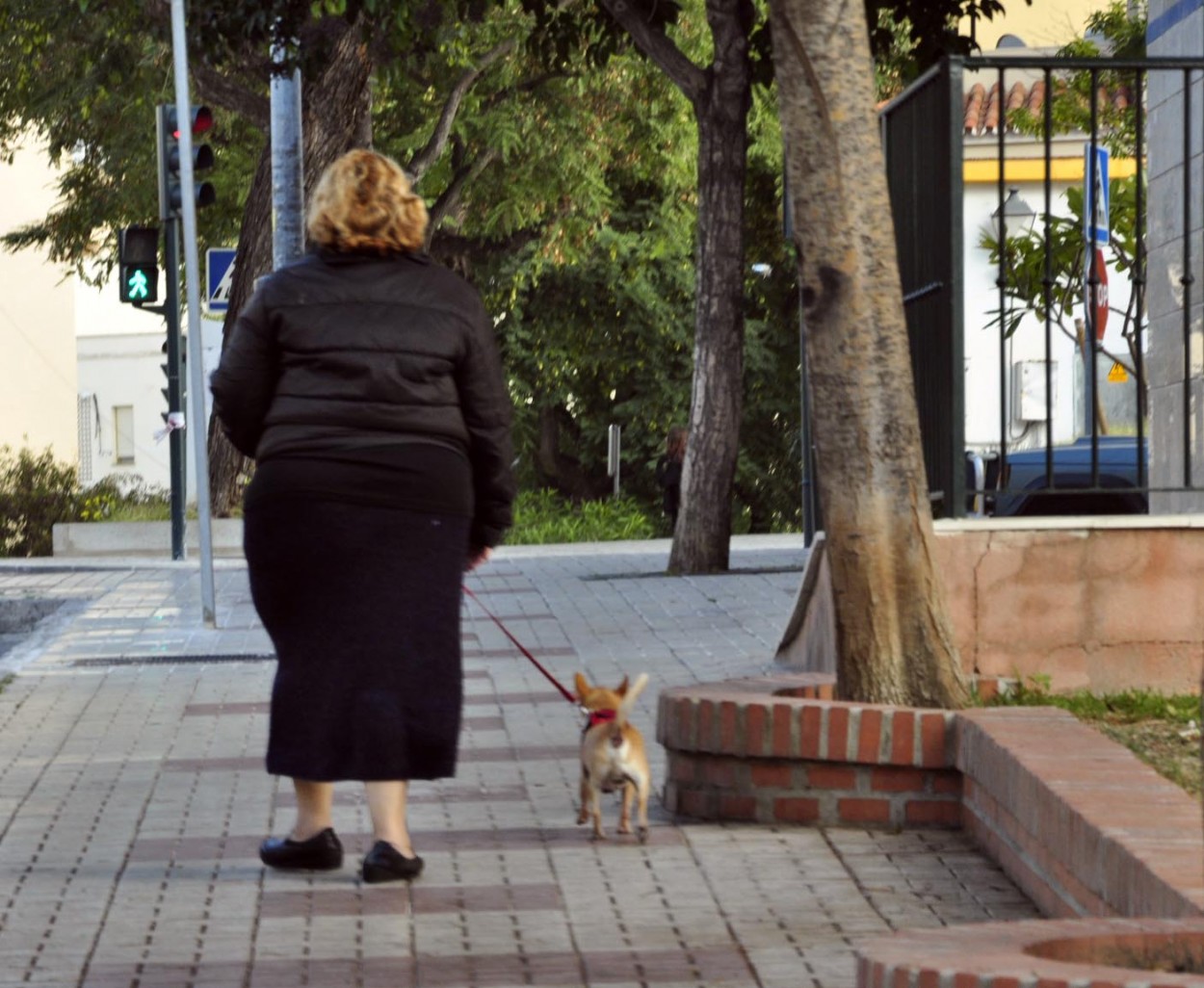 "Paseo a la tarde" de Flix Edmundo Reyes