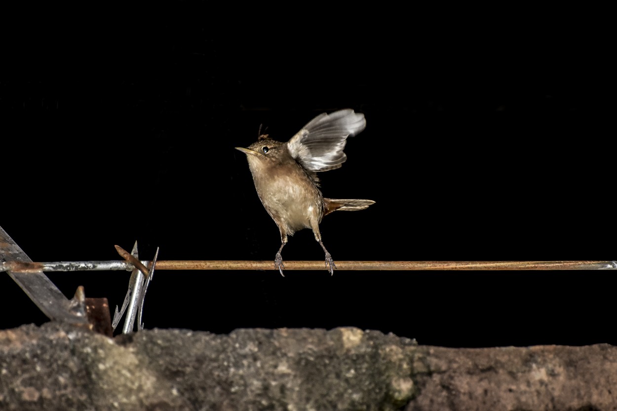 "El salto" de Adriana Claudia Gallardo