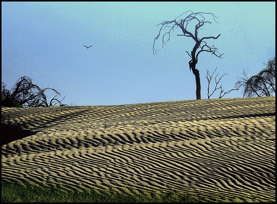 "Medanos salteos" de Ruben Perea