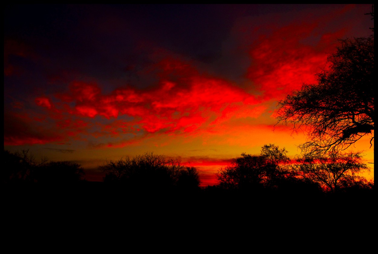 "ATARDECEEER LAVALLINOOO!!!" de Maria Eugenia Cailly (euge)