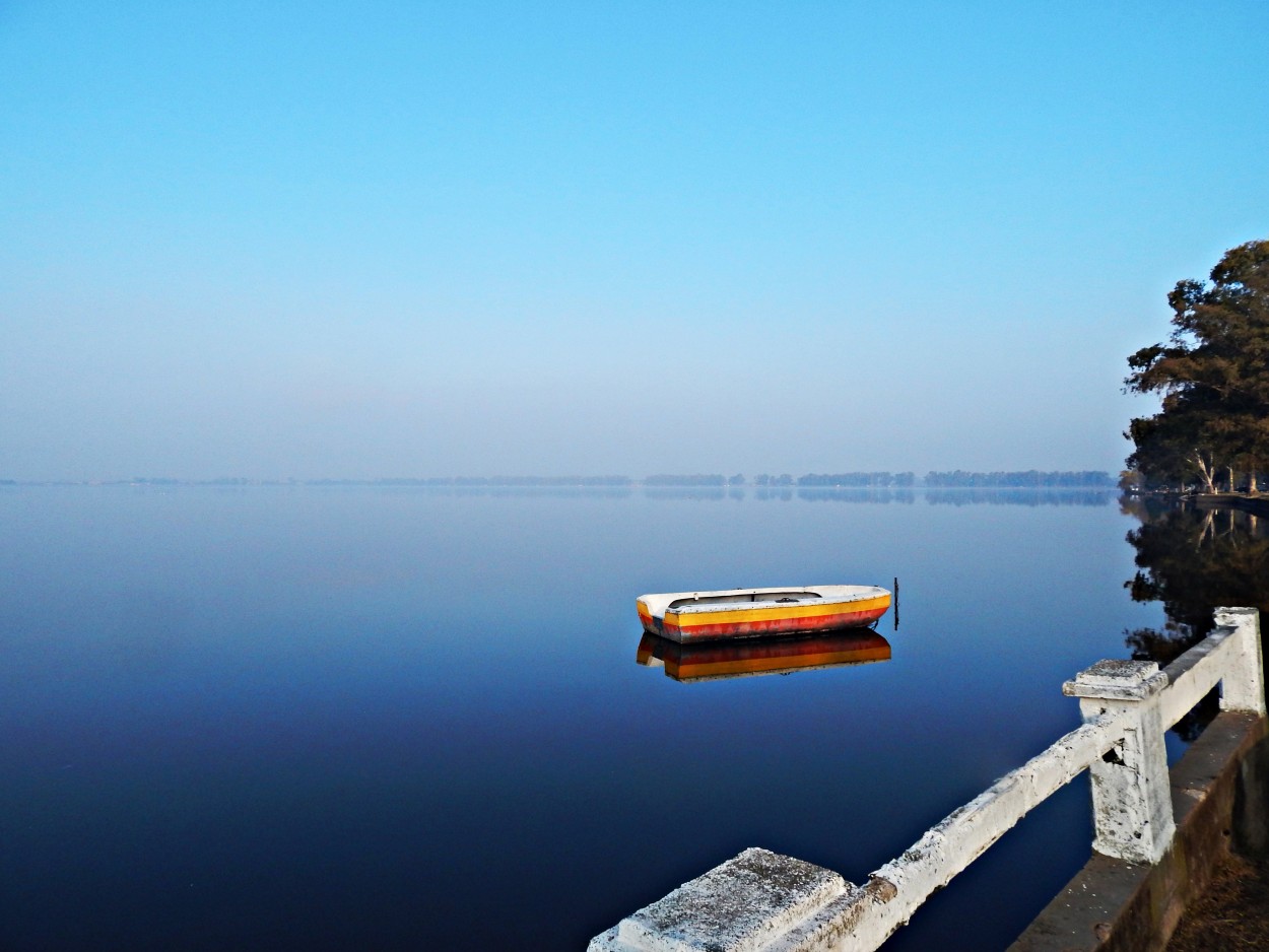 "Color en la laguna." de Jos Luis Mansur