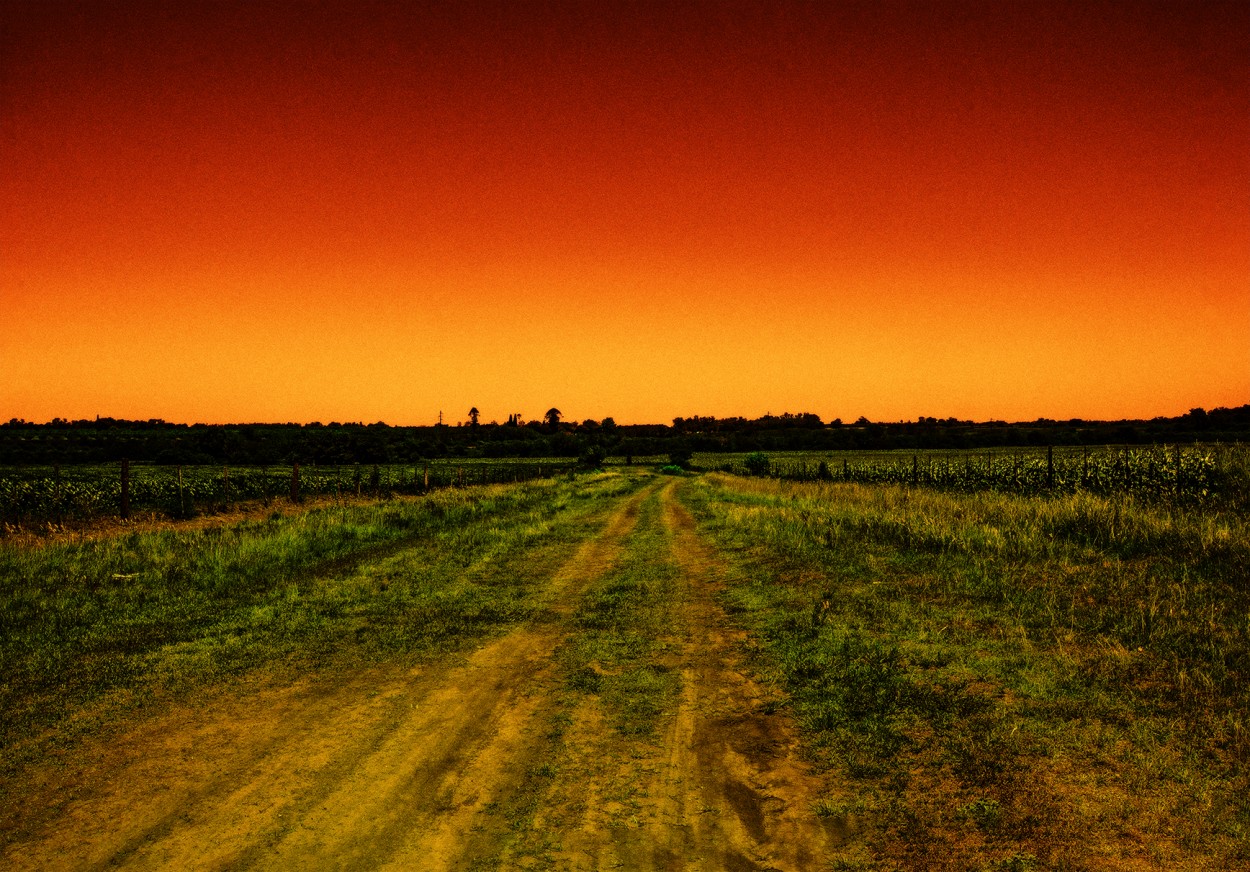 "Amanece en las chacras" de Ruperto Silverio Martinez