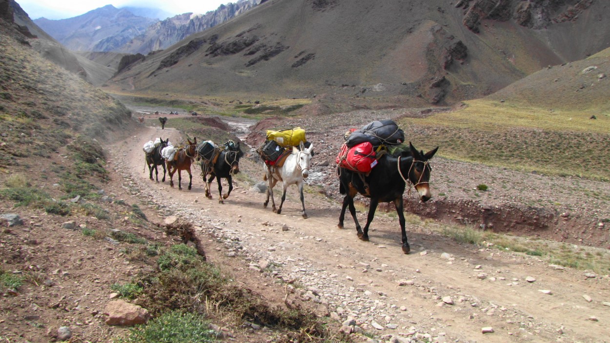 "Cruce de los Andes" de Fernando Robledo