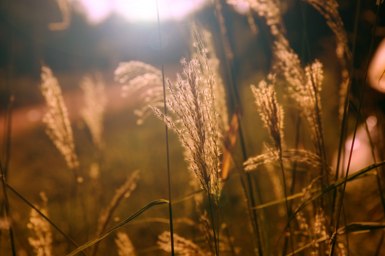 "Naturaleza bajo el sol" de Adriana Claudia Gallardo