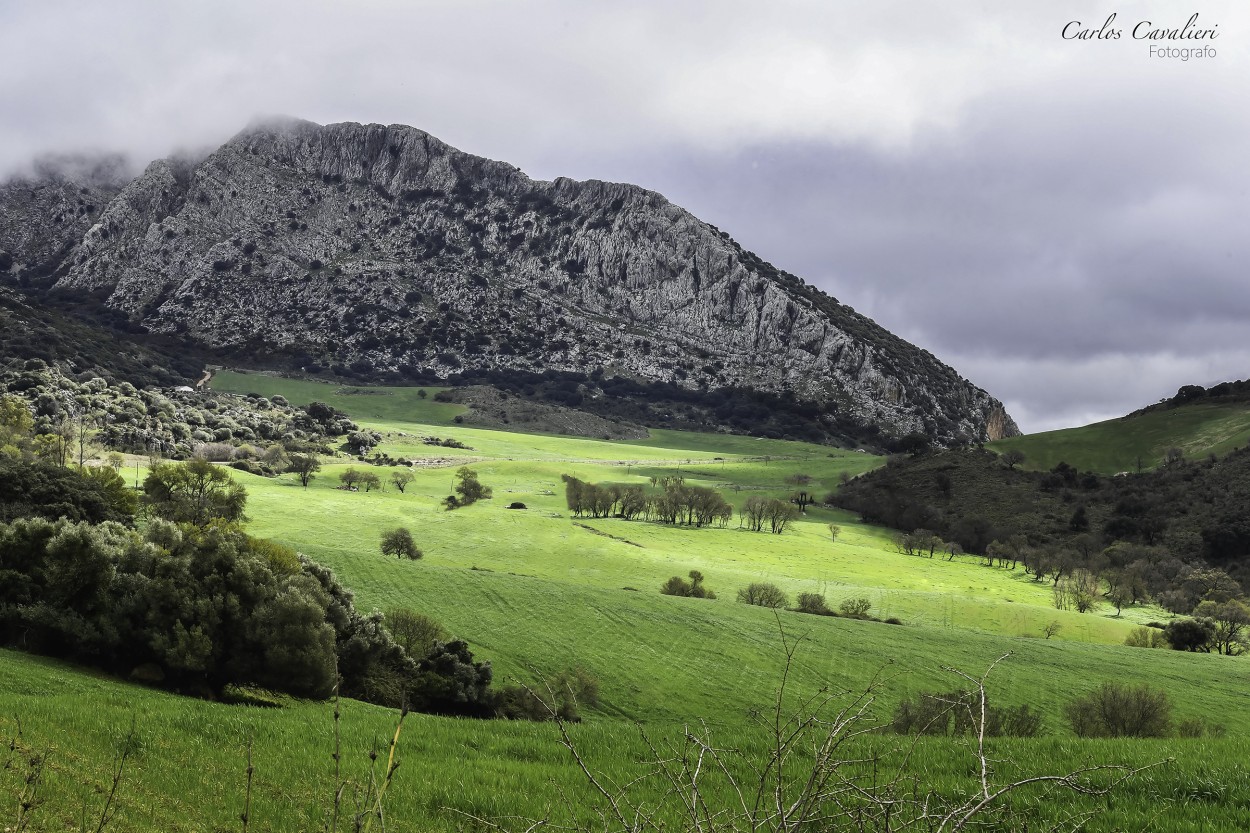 "Los Campos de Andalucia" de Carlos Cavalieri