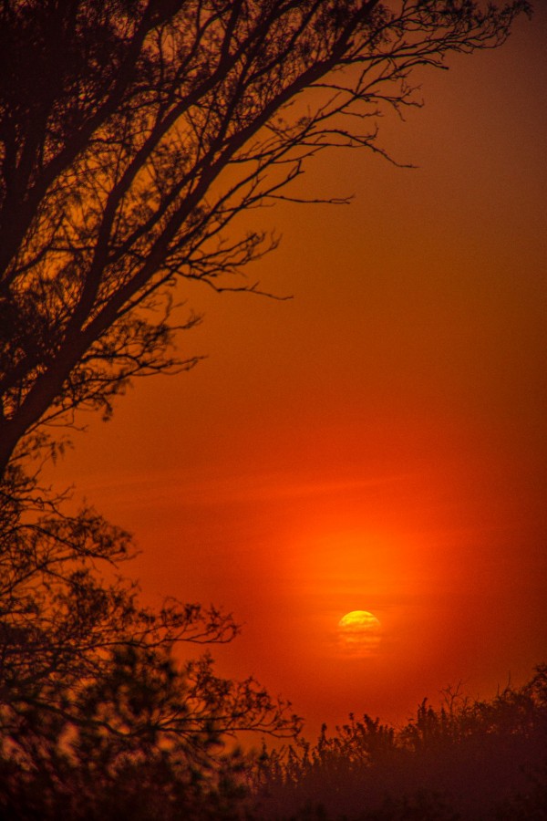 "Amanecer entre nubes ." de Juan Esquivel