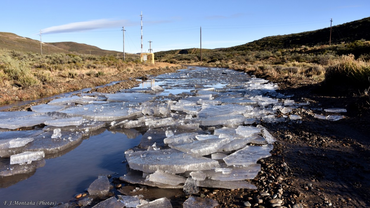 "Hielo en camino de campo Patagnico" de Francisco Jos Montaa