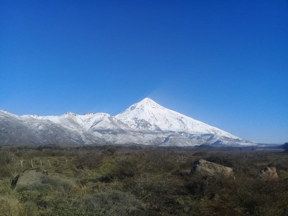 "Todito Nevado" de Sara Nelida Cornejo