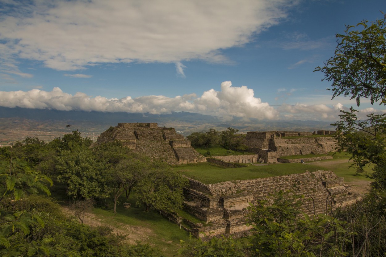 "Oaxaca" de Grace Lazzaro