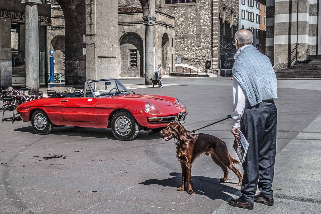 "El seor del perrito" de Angel De Pascalis