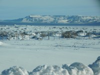 ..vida tras el alambrado