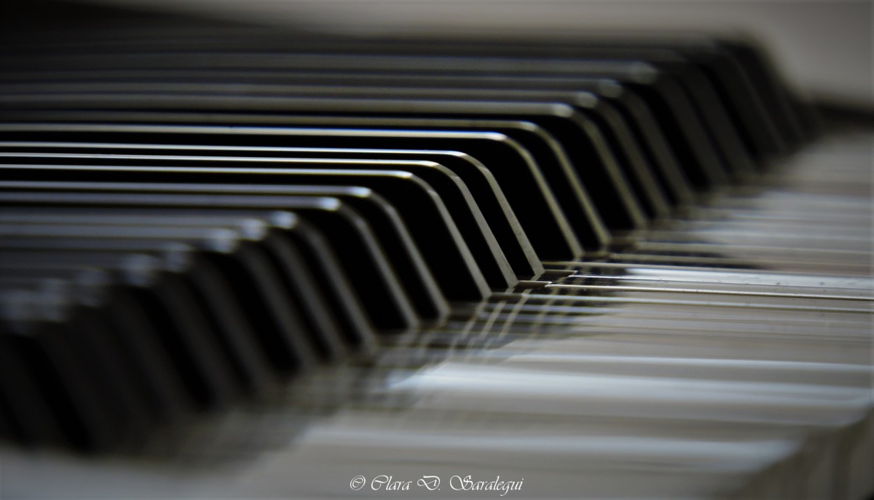 "Piano" de Clara D Saralegui