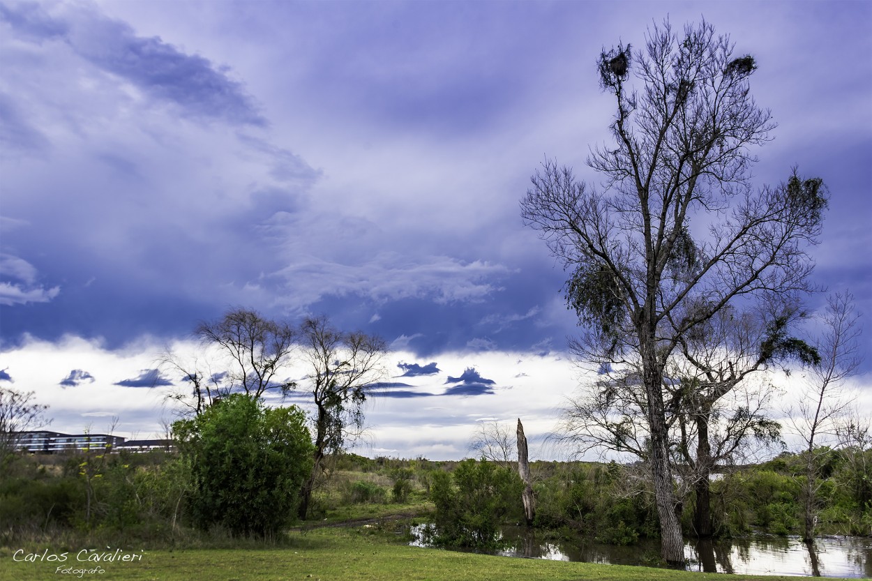 "Imponente cielo uruguayo" de Carlos Cavalieri