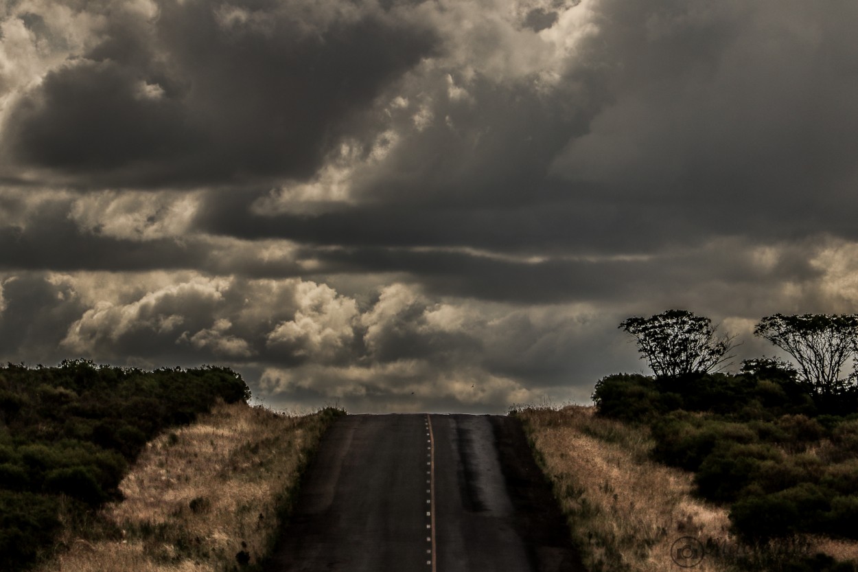 "`Camino a las nubes`" de Mara Del Carmen Chiavaro