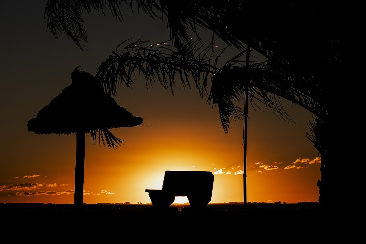 "La Soledad Del Invierno." de Ramiro Francisco Campello