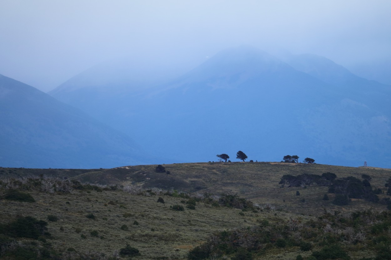 "En la cima" de Natalia Harosteguy