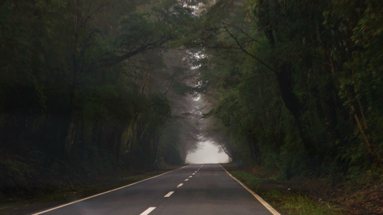 "camino a la luz" de Ruben Alex Villarroel