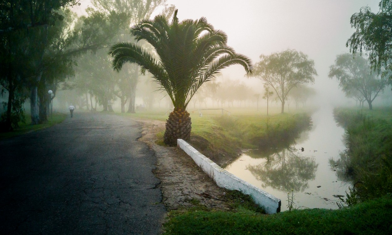 "Rumbo a las sombras" de Fernando Valdez Vazquez